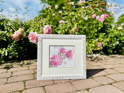Aine A1010 Peonies. Whisper Counted Cross Stitch Kit 7 x 6 in - size: Peonies. Whisper