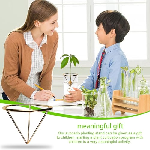 Avocado Starter Rack - Triangular Root Germination Bracket | Avocado Root Propagation Rack,for Home Landscape Garden Living Room Bedroom Balcony Backyard Patio Greenhouse - color: Gold