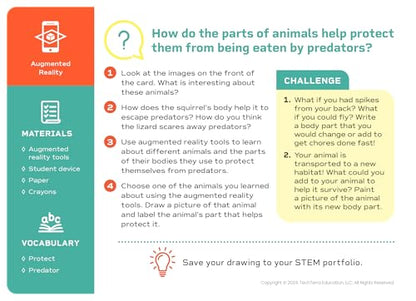 Science STEM Activity Cards Ages 5+ - style: Ages 5+