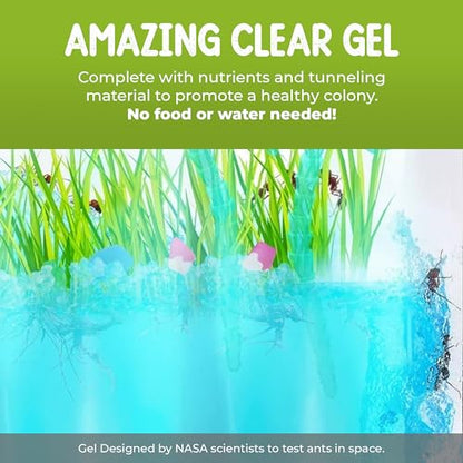 Lighted Gel Ant Habitat Kit with Live Ants (1 Tube) Eco-Terrarium Bundle