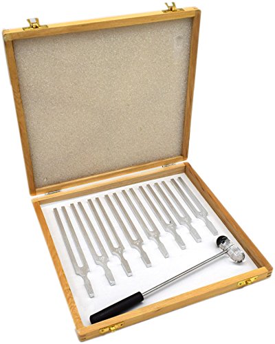 Eisco - Scientific Pitch Tuning Fork Set, 8 Forks (C4=256Hz), Includes Mallet & Wooden Storage Case, Aluminum, Educational Acoustic Physics Experiments, Sound Wave Demonstrations, Classroom Lab Kit