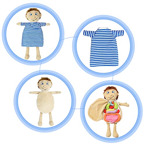 Vocheer Human Body Anatomy Toy, Montessori Preschool Educational Plush - color: Blue