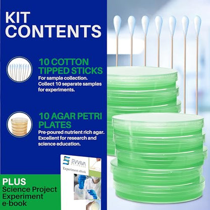 Evviva Sciences Nutrient Agar Petri Dishes Science Project Kit, Pre-Poured Agar Plates for Science Experiments, with Experiment eBook (Green) - color: Green