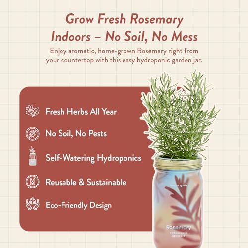 Modern Sprout Mason Garden Jar - Self-Watering Hydroponics Kit - Rosemary - color: Rosemary, size: Garden Jars