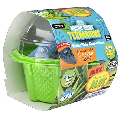 Toys By Nature Character Micro Dome Aloe Plant Terrarium Kit, Decorative and Easy-to-Grow Mini Terrariums with Complete Supplies, Grow Your Own Decorative Plants! (Alex The Soothing Aloe)