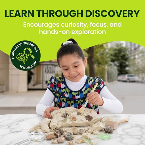 Nature Gear Dino Fossil Dig Kit for Kids, Educational Excavation Kit with 15 Glow in The Dark Mystery Fossils, Interactive Dinosaur Science Kits for Kids Age 3-5 and Up, Excavation Adventure Kit - style: Excavation Adventure Kit