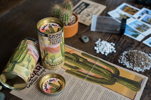 Saguaro | Seed Grow Kit | The Jonsteen Company