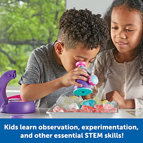 Learning Resources Primary Science Deluxe Lab Set - color: Pink