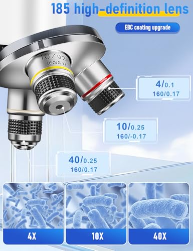 Compound Microscope for Adults & Kids - 40X-2000X High-Power Biological Microscope for Students, School Lab & Home Education, with Slides Set & Phone Adapter (White)