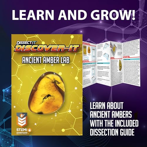 Discover-It Ancient Amber, Science Lab Kit, STEM Toys for Kids, Ages 5+ - style: Ancient Amber
