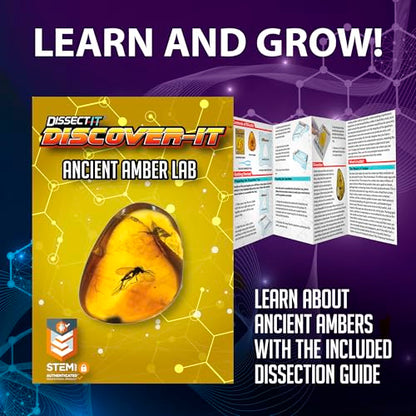 Discover-It Ancient Amber, Science Lab Kit, STEM Toys for Kids, Ages 5+ - style: Ancient Amber