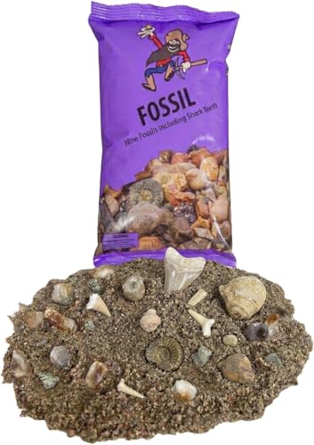 Fossil & Shark Tooth Purple Mining Bag with 9 Real Fossils, 3+ Shark Teeth & ID Guide | Excavation, Sifting, and Discovery