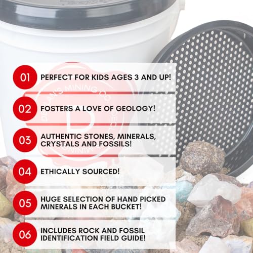 Declan's Mining Bucket, 1 Gallon Raw Stone Collection with 16 Crystal Types, 4+ lbs, Includes Identification Chart