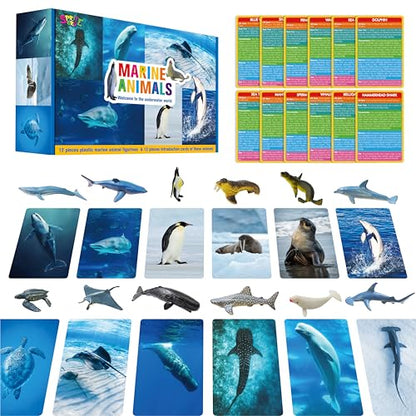 12 PCS Plastic Marine Animal Figurines with 12 Introduction Flashcards, Ocean Animals Learning Recognition Cards Realistic Undersea Animal Figures Educational Learning Toy Set for Kids, Classroom - style: Marine Animal Set (including cards)