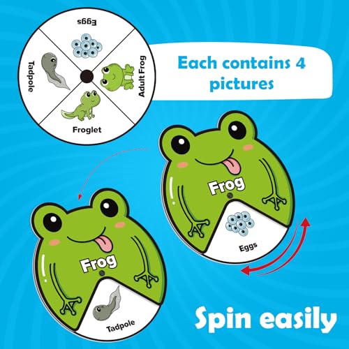 Kasfalci Life Cycle Toys for Kids,Back to School Supplies,Animal Plant Insect Bug Ladybug Butterfly Tadpole to Frog Kit,Montessori Learning & Education Toys,Preschool Science Learning Activities - style: Life Cycle