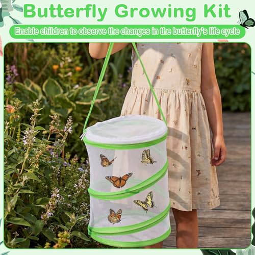 Sherr 12 Pack Butterfly Habitat Cage, 9"x11" Pop-up Mesh Butterfly Net Terrarium, Reusable Caterpillar Raising Kit, Portable Bug Catcher Enclosure for Transporting and Raising Critter (Green) - color: green