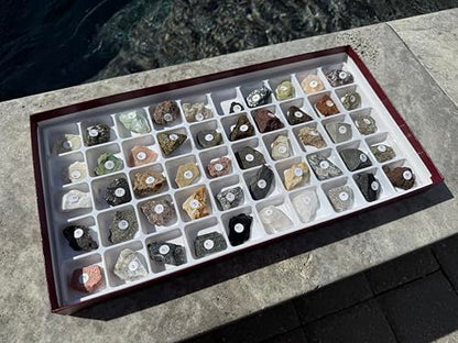 2130 - Classroom Collection of Rocks & Minerals - 50 Specimens