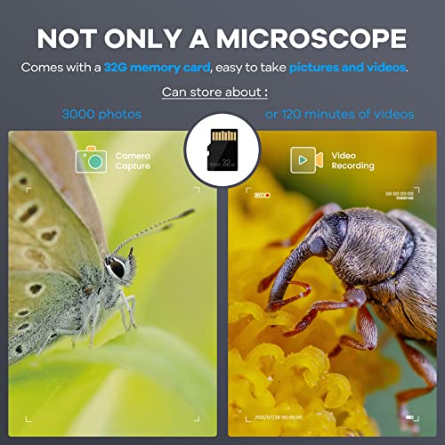 Andonstar AD203 Handheld Digital Microscope, Portable Pocket Microscope - color: Black