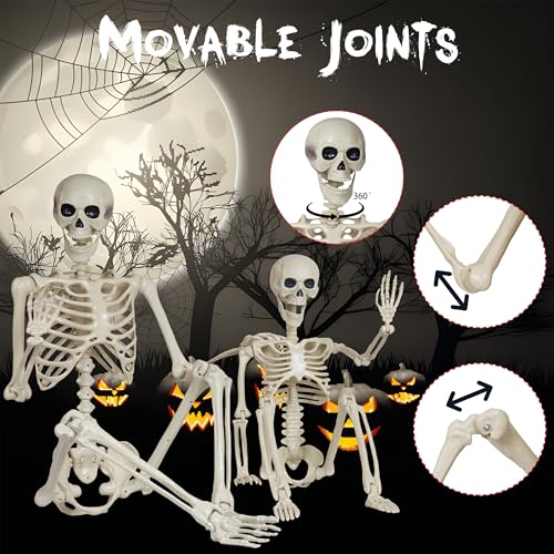 Breesky 5.4Ft & 3Ft Skeleton for Halloween Decoration: Skeleton Model with Movable Joints - Plastic Human Bones for Halloween Party Study Outdoor Yard Haunted House Atmosphere Decoration - color: Stone White