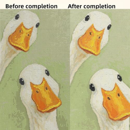 CSZPPQAF Duck Diamond Painting Kits for Adults, Animal Cartoon Diamond Art - color: KM1262-1