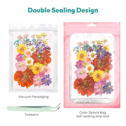 Dried Flowers, Resiners 58Pcs Pressed Flowers for Craft - color: Berry Red 58pcs