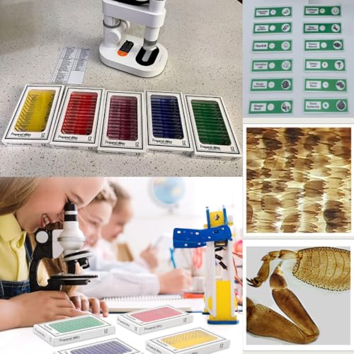 60pcs Prepared Microscope Slides for Kids, Microscope Specimen Slides with Plants Insects for Biology and Science Study, Microscope Accessories Slides Set for Kids - size: 60pcs