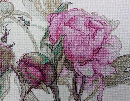 Aine A1009 Peonies. Delight Counted Cross Stitch Kit 7 x 6 in - size: Peonies. Delight