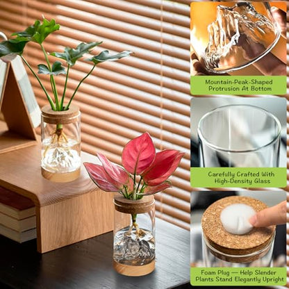 2Pcs Plant Propagation Station, Wooden Base with Lighting