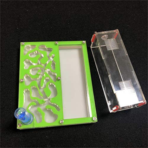 ANT 150mmx110mm Test Tube Moisture Big Space Nest Farm Acrylic, Insect Villa House Ecological Workshop (Black) - color: BLACK