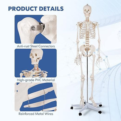 Nightcore 70.8 Foot Human Skeleton Model, Life-Size Skeleton with Rolling Bracket, Medical Model with 2 Caster Brakes, Removable Skeleton with Moving Arms & Legs, Ideal for Anatomy