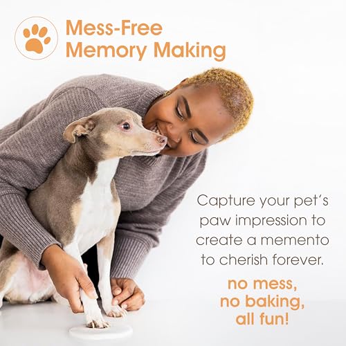 Pearhead Pet Paw Print Memorial Frame with Clay Imprint Kit, Espresso Brown - color: Espresso Clay Print Table Top Frame