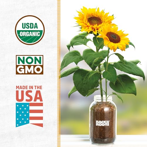 Back to the Roots Sunflower Organic Windowsill Planter Kit - Grows Year Round, Includes Everything Needed for Planting - style: Windowsill Planter Kit: Sunflower