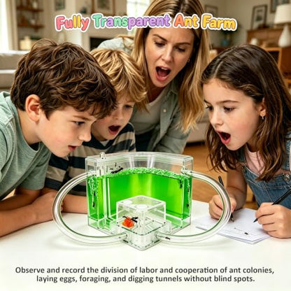EXBEPE Ant Farm for Kids Safety and Environment Gel Ant Colony Ecosystem Terrarium, Ant Habitat Science Learning Kit(with No Ant)… - color: Green
