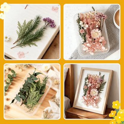2PCS Dried Flowers Kit, Natural Dried Flowers Kit for DIY Crafts, Scrapbook, Card Making (Stye2_13) - color: Stye2_13