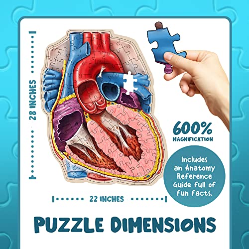Human Heart Anatomy Floor Puzzle — Genius Games Doctor Livingston Jr Anatomy Toy - Kids Puzzles & Science Toys - Human Heart Model - 100 Piece Jigsaw Puzzles for Kids, Toddlers, Teens - style: Human Heart Puzzle