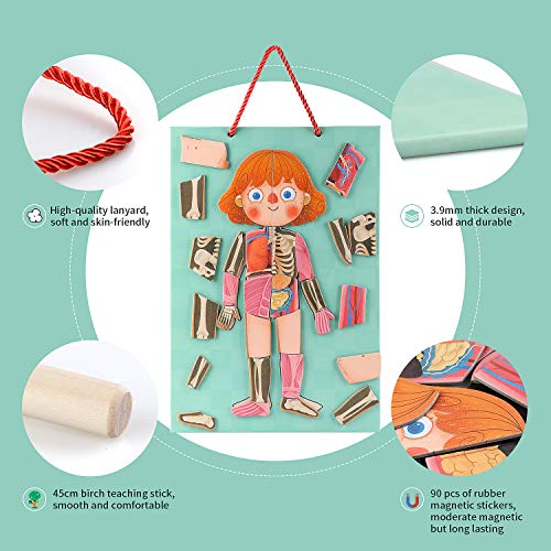Human Body Puzzle for Kids Toddlers 90PCS Magnetic Boy Girl Anatomy Play Set Body Parts Organs Muscles Skeleton and Bones Wooden Puzzle Toys Aged 3+ Educational Learning Preschool Toys