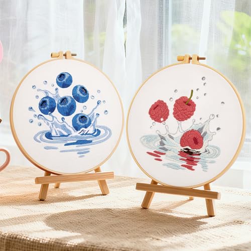 Armindou 2Set Embroidery Kits with Fruit Pattern for Beginners Adults, Hand Embroidery Needlepoint DIY Kits, Stamped Cross Stitch Kits for Beginners Adult, 2 Embroidery Hoops (Attached Video Tutorial) - color: Blue and Red, size: 8inch