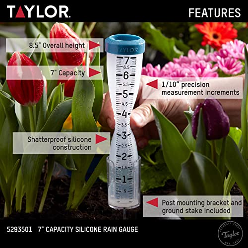 Taylor Freeze Proof Silicone Rain Gauge 7 Inch Capacity, Teal