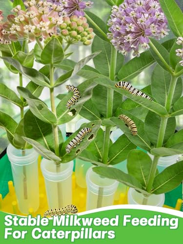Complete Butterfly Habitat Kit - 14" W x 20" H Large Collapsible Mesh Growing Cage & Hydroponic Feeding Tubes/Rack Holder & Messproof Mat & Guide, Easy to Set Up, Monarch Caterpillars Enclosure House