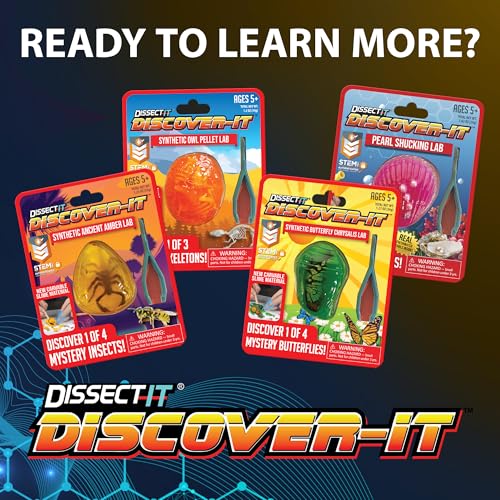 Discover it Butterfly, Science Lab Kit, STEM Toys for Kids, Ages 5+ - style: Butterfly