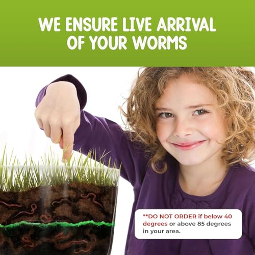 Worm Farm for Kids with 20 Live Worms and Food, All-in-One Ecosystem Bundle - style: Farm+Live Worms+Food