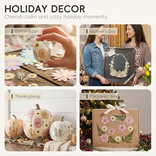 LUXEEASE 80P White Pink Dried Pressed Flowers - color: White 80pcs