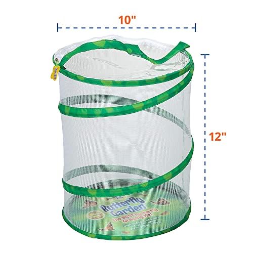 Insect Lore Butterfly Garden with Two Cups of Live Caterpillars, Life Cycle Figurines, English and Spanish Butterfly STEM Activity Journals | 10 Painted Lady Butterfly Baby Caterpillars - style: 2 Cup