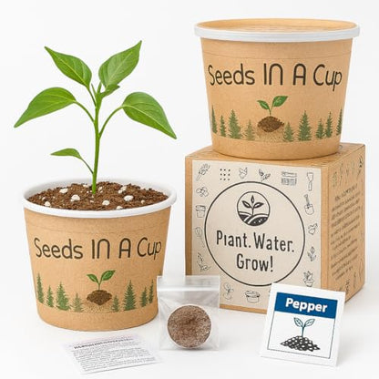 Seeds in A Cup- Tree Growing Kit (American Ash) - style: American Ash