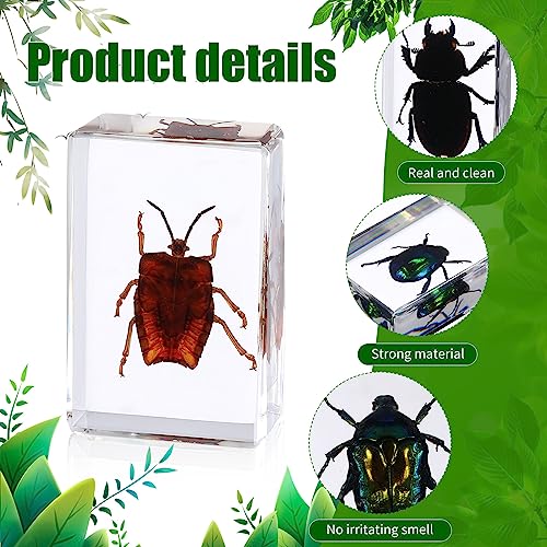 16 Pcs Insect in Resin Specimen Butterfly Bugs Collection Paperweights，16 Styles Real Bug Specimen Bug Kit Preserved in Resin for Scientific Educational Display Supplies (Insect)