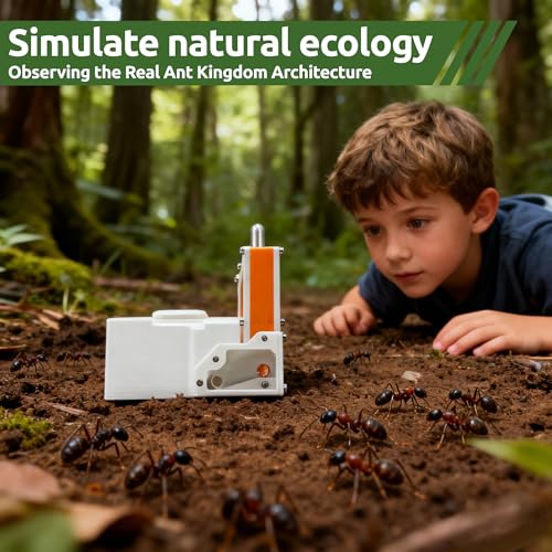3D Printed Ant Farm Terrarium, Orange Acrylic Housing, Multi-Level Design, Educational Formicarium with Test Tubes for Small Ant Colony