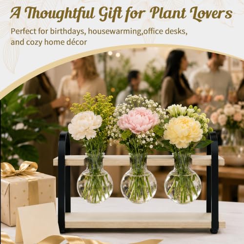 3-Bulb Plant Propagation Station, Glass Vase Terrarium, Retro White - color: White