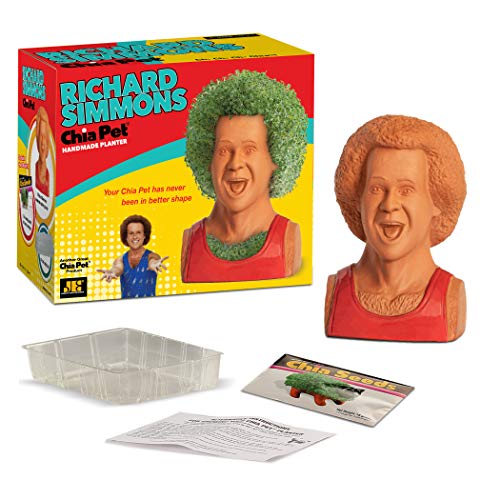 Chia Pet Richard Simmons with Seed Pack, Decorative Pottery Planter, Easy to Do and Fun to Grow, Novelty Gift, Perfect for Any Occasion - style: Richard Simmons