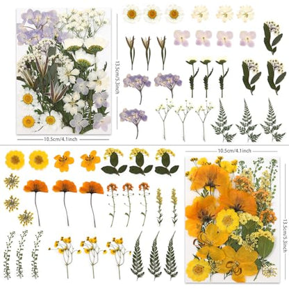 LUXEEASE 4 Color 110P Long Stem Dried Pressed Flowers - color: 4-color Long Stem 110p