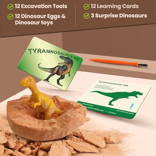 Zippytots Dinosaur Egg Dig Kit 12 Unique Eggs STEM Science Toy for Kids 3-8 | Premium Safe Material | Gold Glow & Color-Change Dinos | Complete STEM Dig Kit with Tools & Cards | Top Science Gift